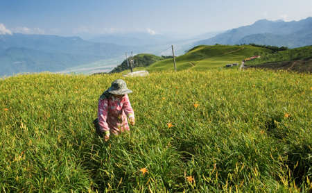 Tiger lily famer working in the farm.の写真素材