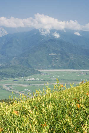 It is beautiful and colorful tiger lily farm.