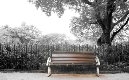 It is a brown bench with nobody in the park.の写真素材