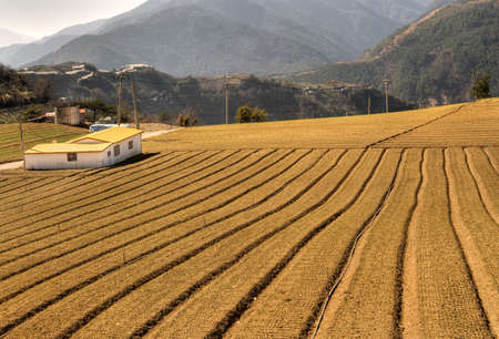 Landscape of countryside with farm pattern and house.の写真素材