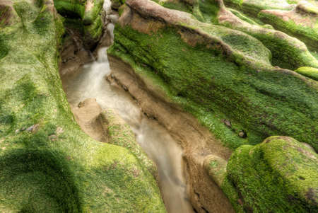 Abstract landscape of rock coast with green seaweed.