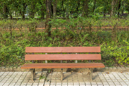 Bench in the park with nobody in daytime.の写真素材