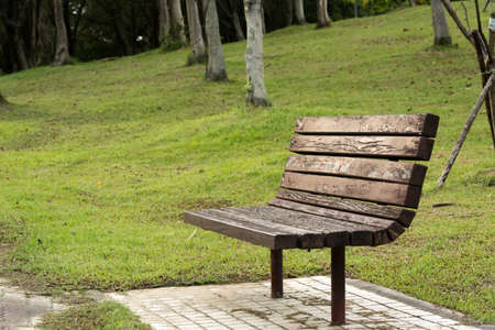 Bench in the park with nobody in daytime.の写真素材