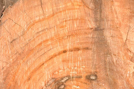 Old aged wooden textured 