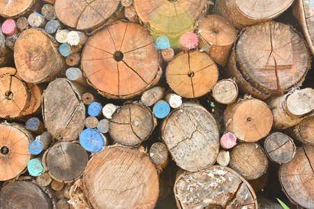 Pile of wood logs with some colored