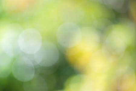 Abstract background color in selective focus.の写真素材