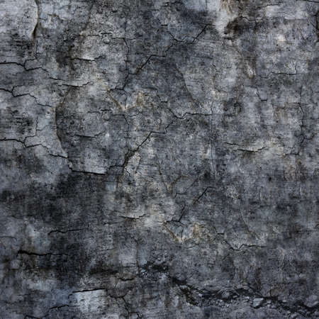Texture of grunge interior, old dirty wall.の写真素材