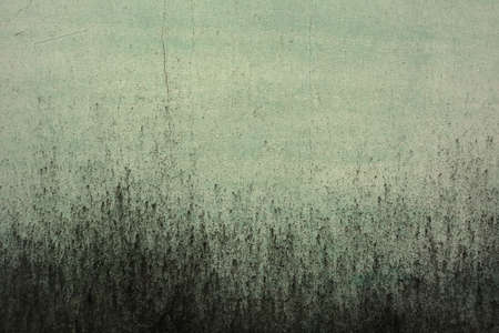 Green textured background with good detail.の写真素材