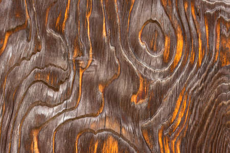Wooden background with good detail texture.の写真素材