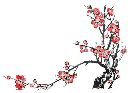 Chinese painting of flowers, plum blossom, on white background.の写真素材