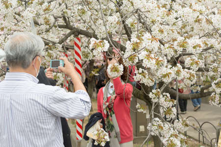 OSAKA, JAPAN - April 16th : Cherry blossom flowers in garden with many people at Japan Mint, Osaka,...