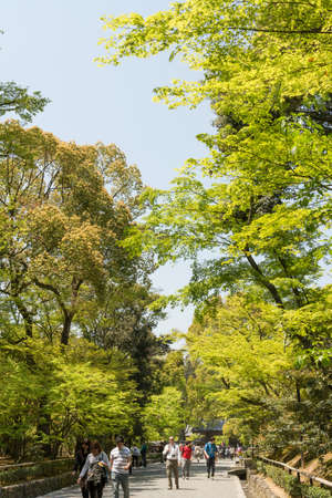 KYOTO, JAPAN - APRIL 25 : There are trees next to the walkway in Kinkakuji in Kyoto, Japan on 25th April 2014.のeditorial素材