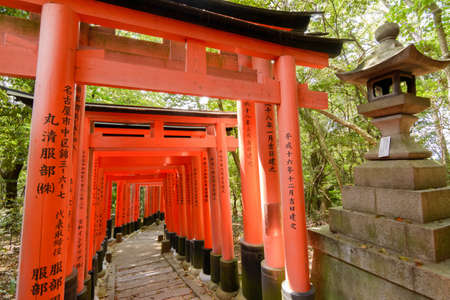 KYOTO, JAPAN - APRIL 27th : Stone lamp and torii cornering passage of Fushimi Inari Taisha Shrine in Kyoto, Japan on 27th April 2014.のeditorial素材