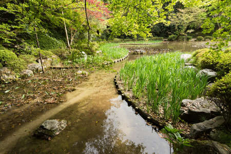 The garden with pond in Heian Jingu Shrine in Kyoto.の写真素材