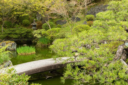 Small stone bridge in Japanese garden 