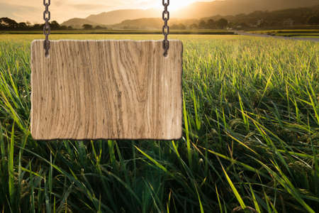 Blank wooden sign on field of farm. Concept of rural, idyllic, tranquility etc.の写真素材