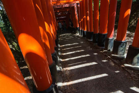 KYOTO, JAPAN - APRIL 27th : Thousands of Torii with light and shadow of Fushimi Inari Taisha Shrine in Kyoto, Japan on 27th April 2014.のeditorial素材
