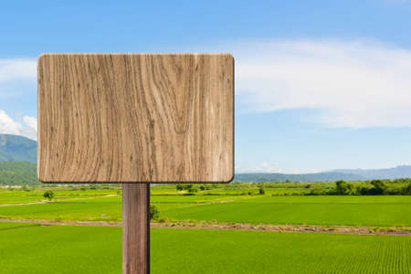 Blank wooden sign on field of paddy rice farm. Concept of rural, idyllic, tranquility etc.の写真素材