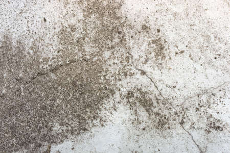 Cement wall background with rough surface texture.