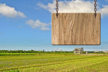 Blank wooden sign on field of farm. Concept of rural, idyllic, tranquility etc.の写真素材