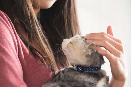 An Asian woman play with her kitten at home.の写真素材