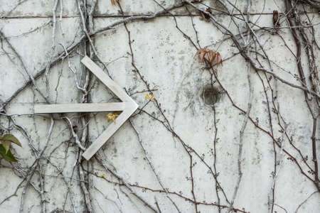 ivies and the arrow on a wallの写真素材