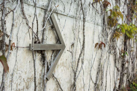 ivies and the arrow on a wallの写真素材
