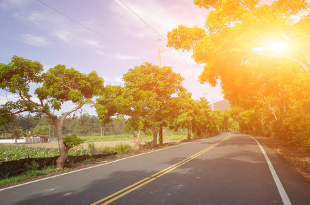 Road with nobody, landscape at Luye, Taitung, Taiwan, Asia.の写真素材