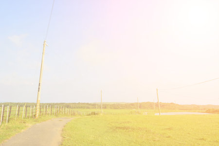 Country road at sunny day under blue sky with nobody.の写真素材
