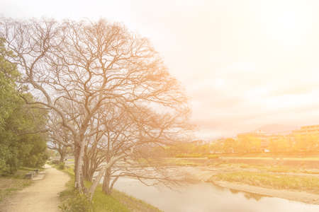 Scenery of Kamo River in Kyoto, Japan, Asia.の写真素材