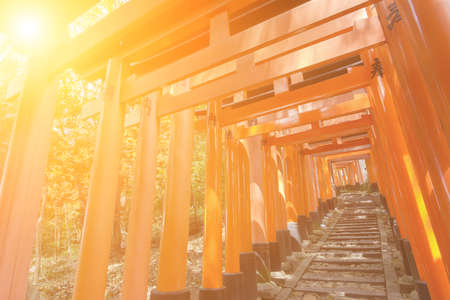 Thousands of Torii with stone steps, Fushimi Inari Taisha Shrine, Kyoto, Japan.のeditorial素材