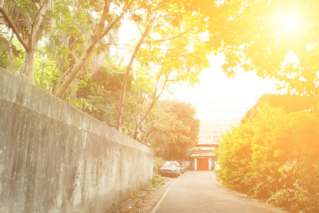 Town scenery with green trees and gray path in morning in Taiwan, Asia.の写真素材