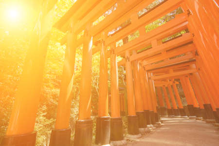 Thousands of Torii with green trees background, Fushimi Inari Taisha Shrine, Kyoto, Japan.のeditorial素材