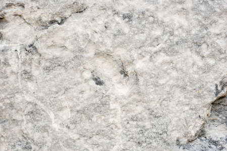 real natural marble background textureの写真素材