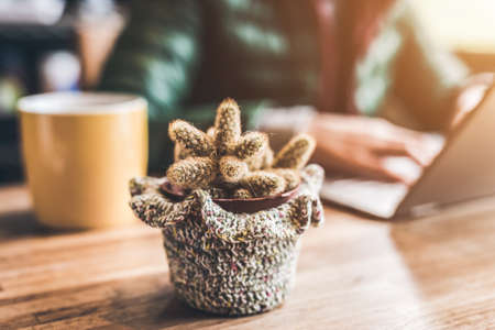 concept of working at home with succulent plant pot on the tableの写真素材