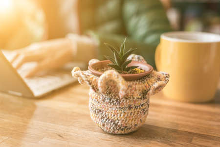concept of working at home with succulent plant pot on the tableの写真素材