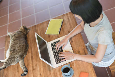 woman working at home with her cat lying on tableの写真素材