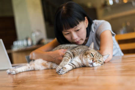 Asian mature woman touch her cat at homeの写真素材
