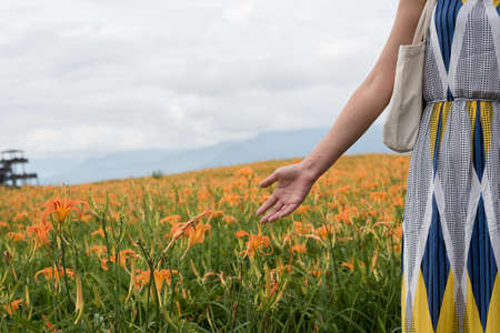 closeup image of woman hand touch the flower in the farmの写真素材