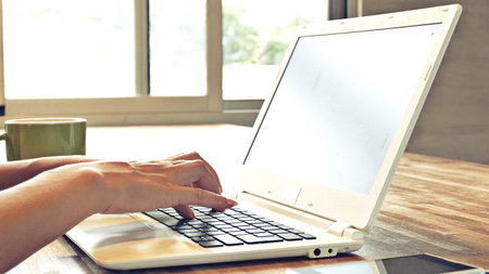 concept of working at home with woman using laptop