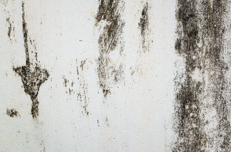 mildewed wall background, grunge texture of dirty cement wall