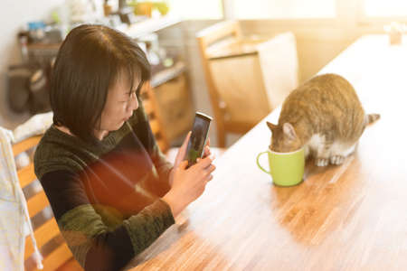 woman looking her cat drink water at homeの写真素材