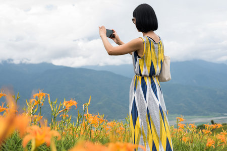 asian woman taking a picture and stand at the yellow tiger lily farmの写真素材