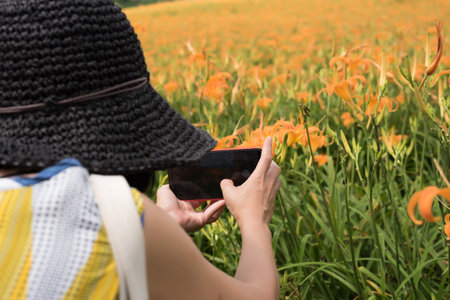 asian woman taking a picture and stand at the yellow tiger lily farm