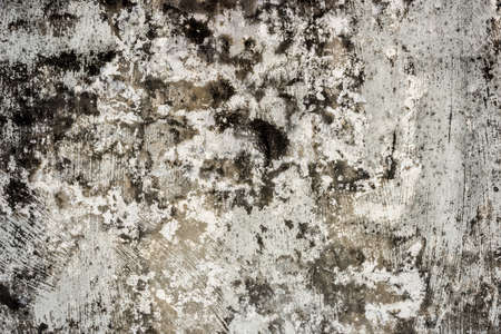 mildewed wall background, grunge texture of dirty cement wallの写真素材