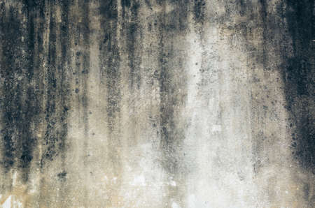mildewed wall background, grunge texture of dirty cement wallの写真素材