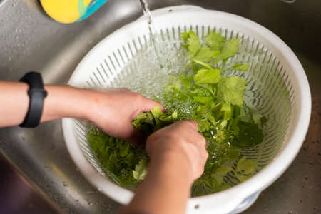 woman washing vegetables in the sink at homeの写真素材