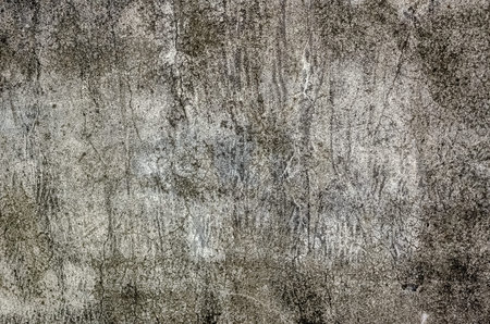 mildewed wall background, grunge texture of dirty cement