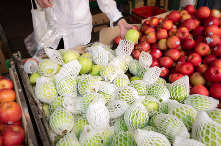 fresh guava fruit stack at the marketplaceの写真素材