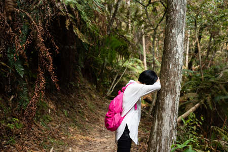 tired traveling woman laying on a tree in the forestの写真素材